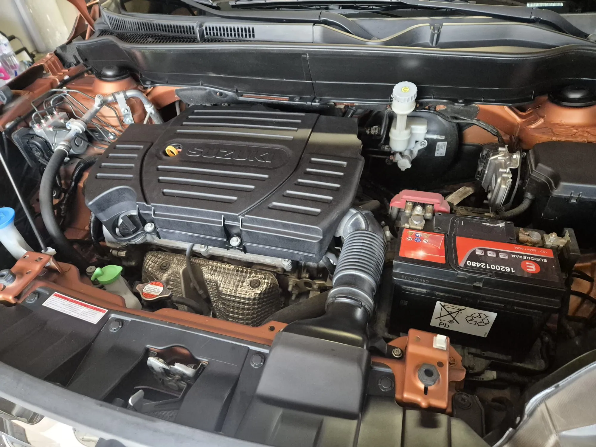 whatsapp image 2026 01 09 (2)